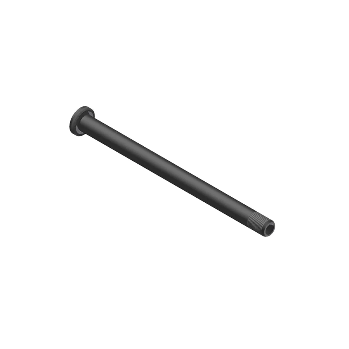Axe de Serrage de Roue Arrière DT SWISS RWS Plug-In 12x142 mm X12 167.7 mm #HWQASM00S0233S