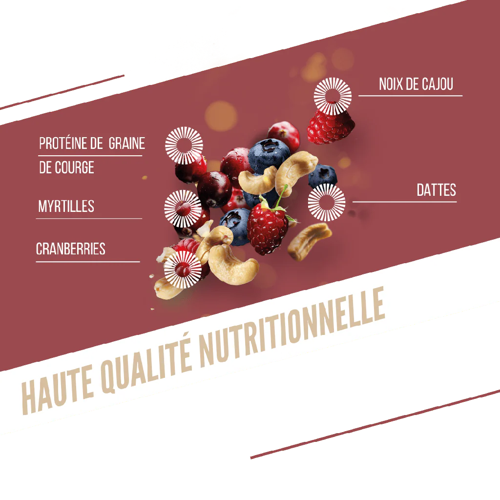Barre Protéinée BAOUW BIO EXTRA Fruits Rouges/Cajou (50g) - Image 3
