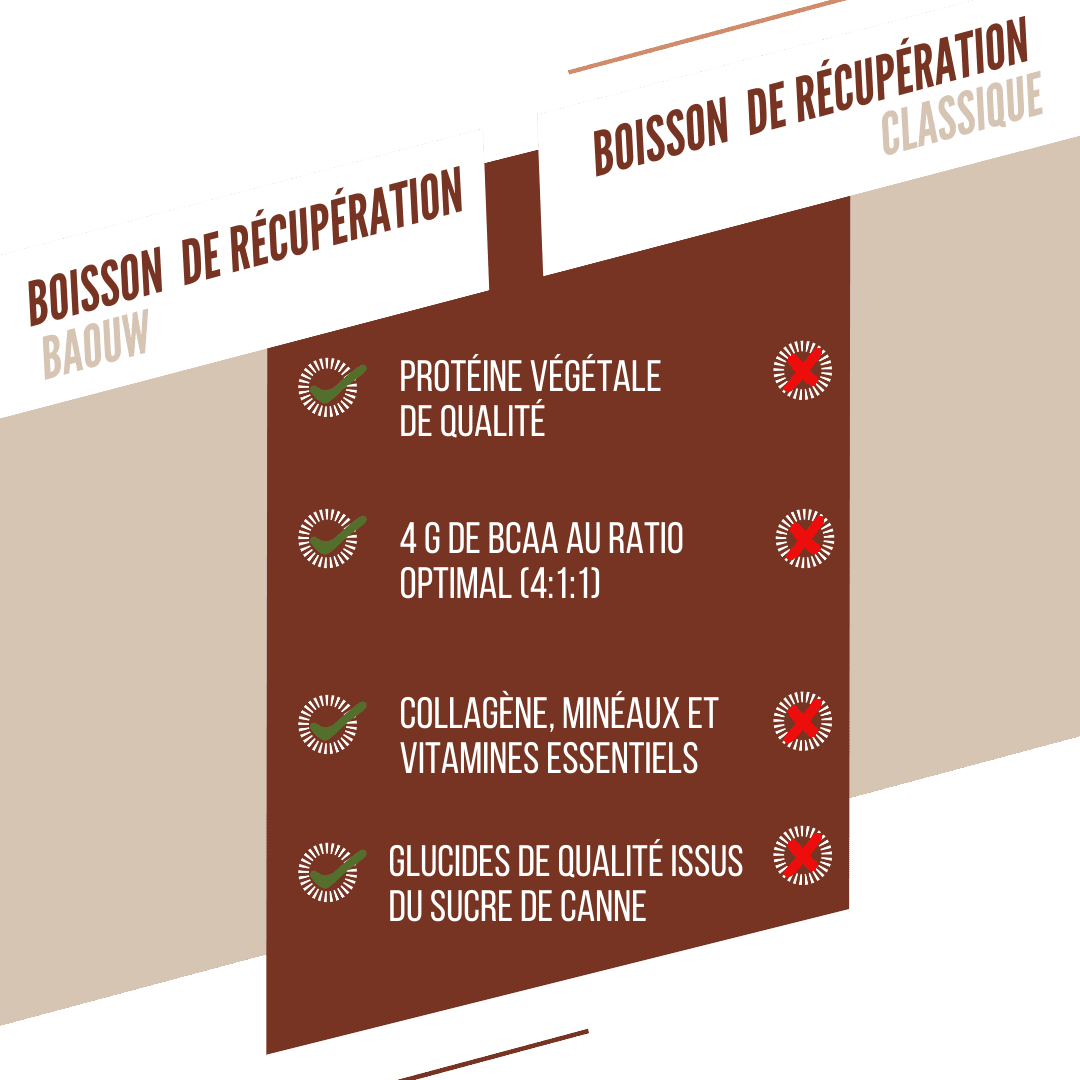 Boisson de Récupération BAOUW RECOVERY (500g) Chocolat Noisette - Image 3