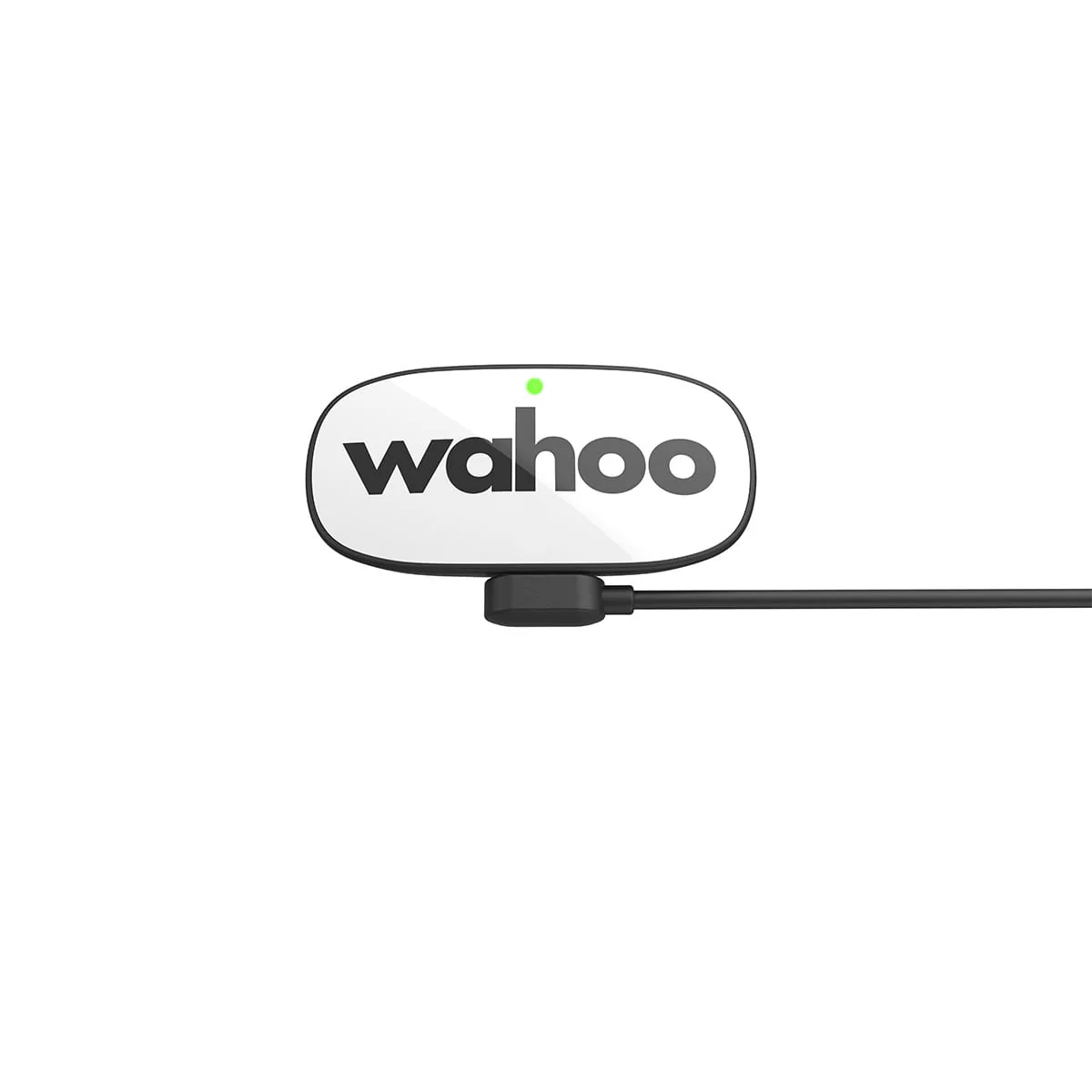 Ceinture Cardio WAHOO TRACKR HR - Image 3
