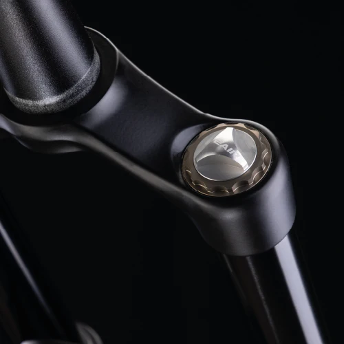 Fourche FORMULA SELVA S 29" Axe 15x110mm Boost Noir - Image 4