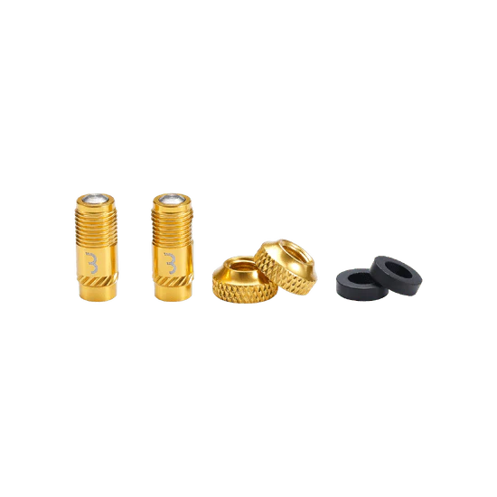 Embouts de Valves BBB CORE CAP Or (x2) - Image 3