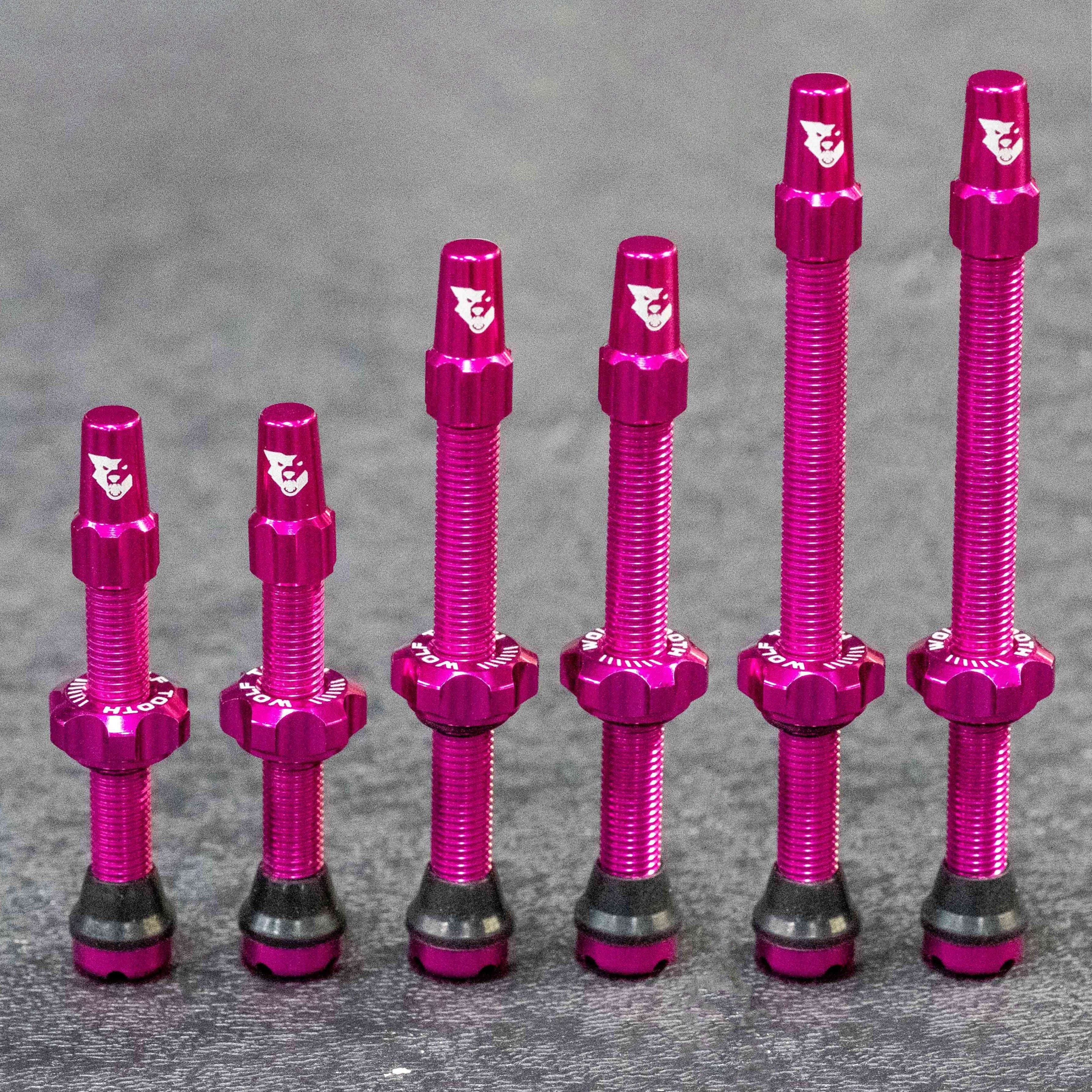Lot de 2 Valves Tubeless WOLF TOOTH Rose - Image 2