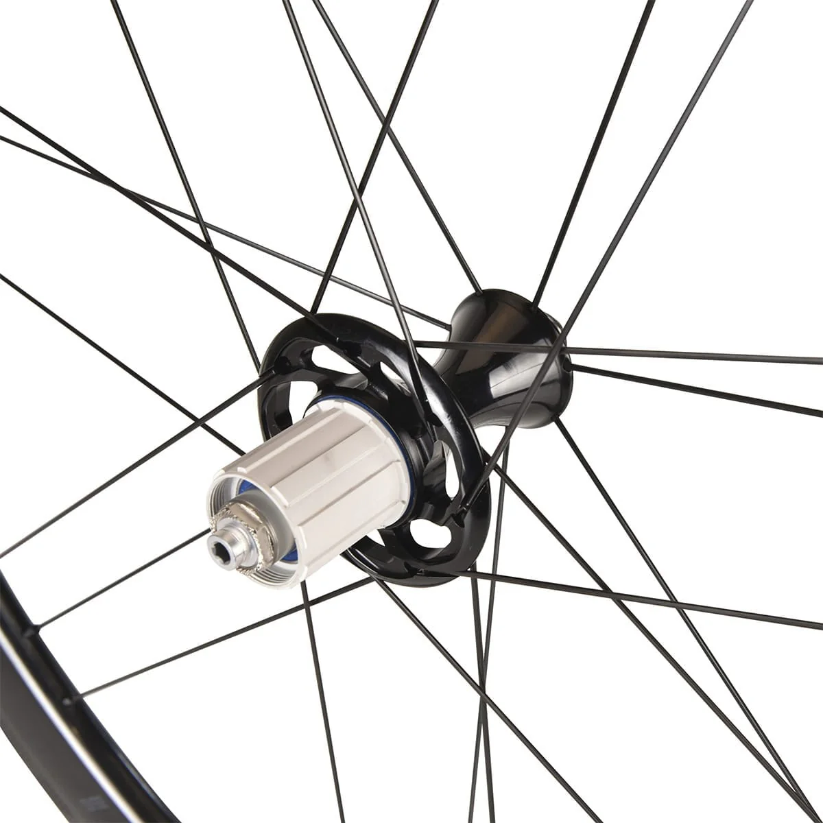 Paire de Roues CAMPAGNOLO BORA WTO 45 DARK LABEL - Image 2