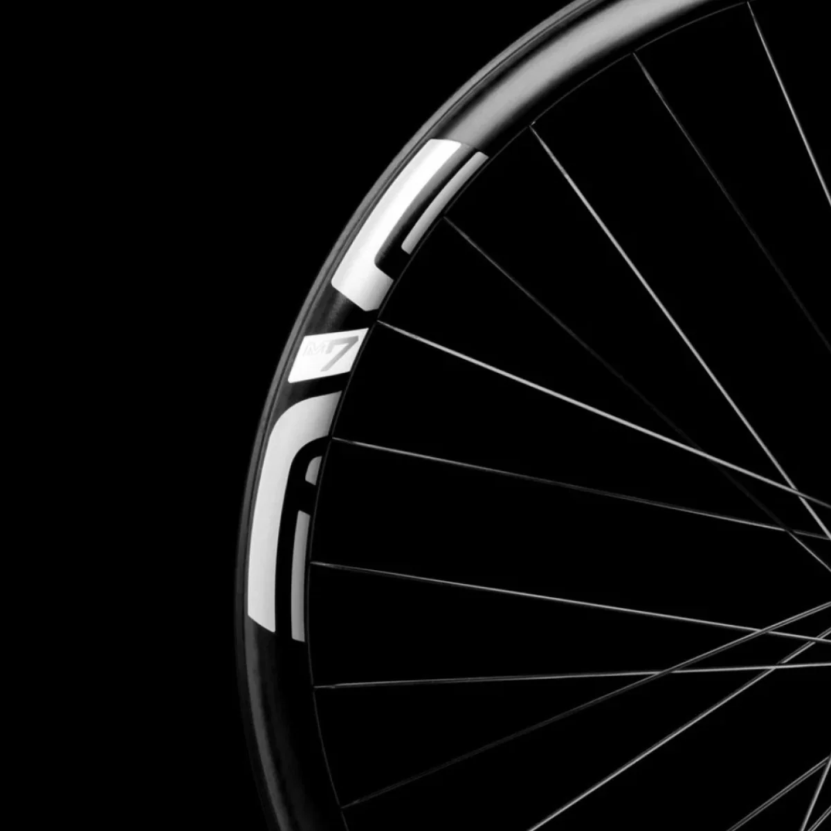 Paire de Roues Carbone ENVE M730 HYDRA 29" 15x110/12x148mm Boost 6 Trous Noir - Image 5