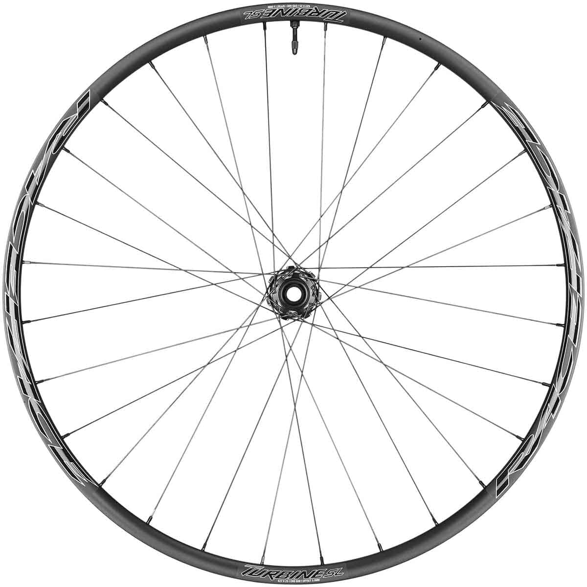 Roue Avant RACE FACE TURBINE SL 29" Axe 15x110 mm Boost - Image 4