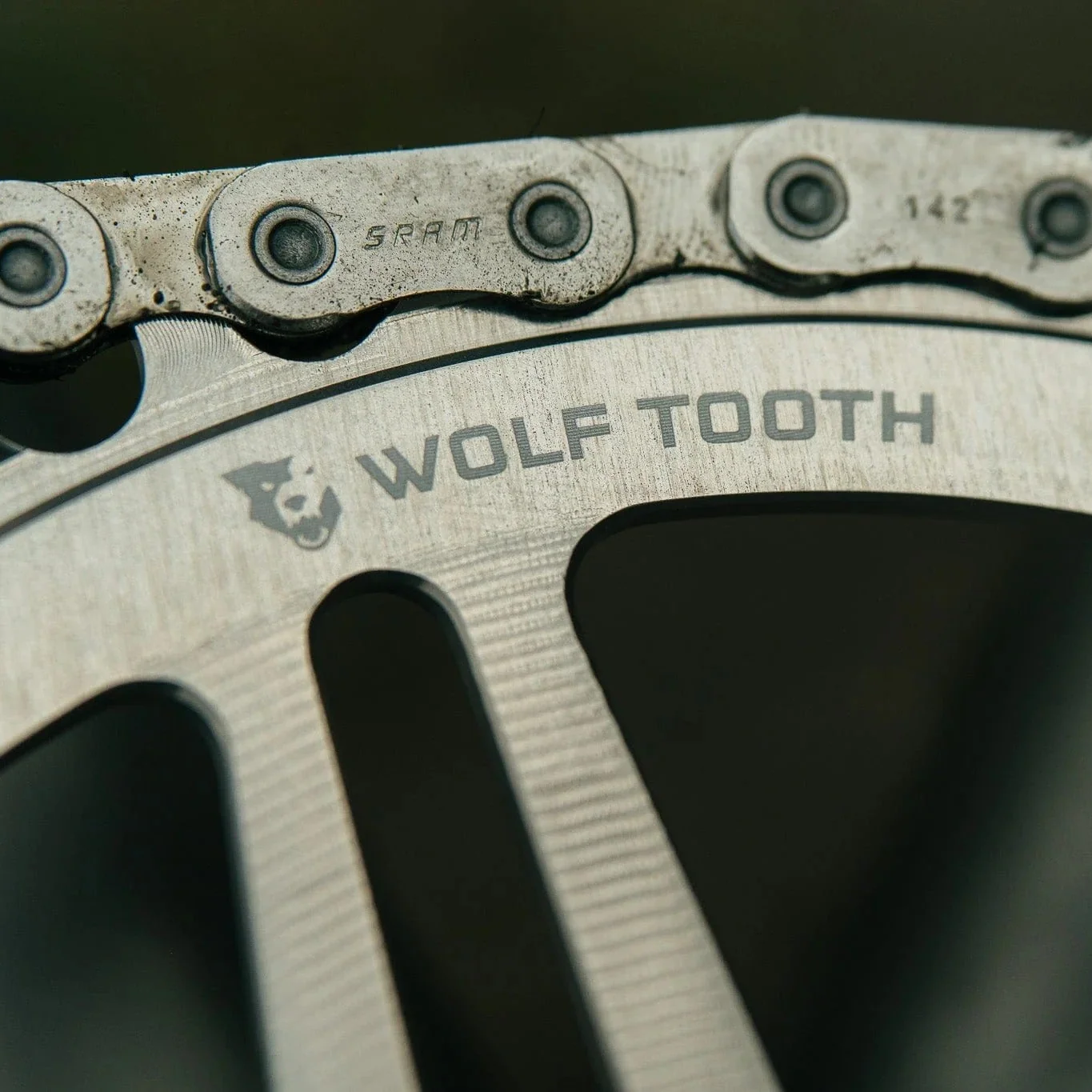 Plateau Mono WOLF TOOTH DROP-STOP B DM 8 Vis Sram Eagle Boost Offset 3mm Raw Silver - Image 3