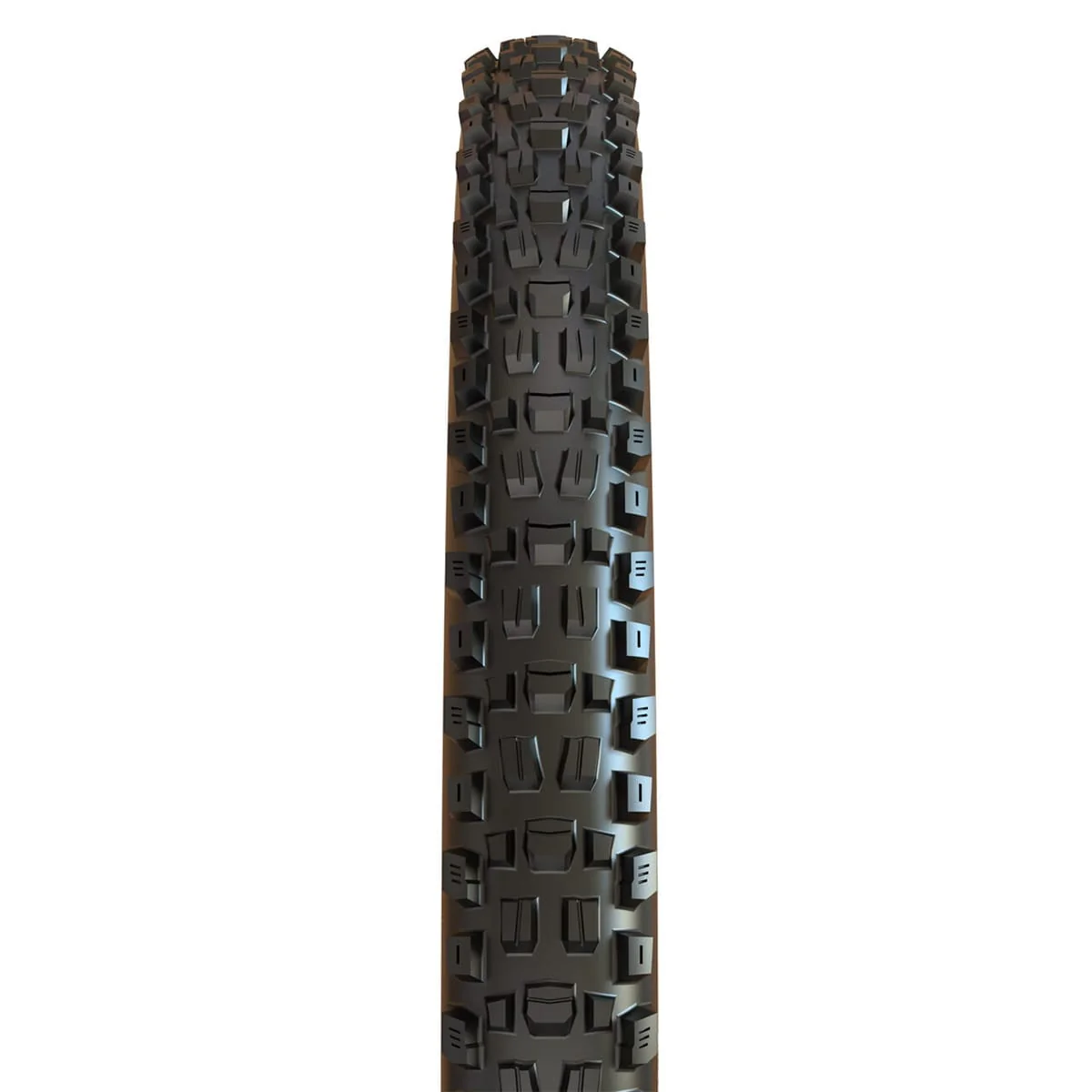 Pneu MAXXIS ASSEGAI 29x2.50 WT BikePark DH Tubeless Ready Rigide Noir - Image 2