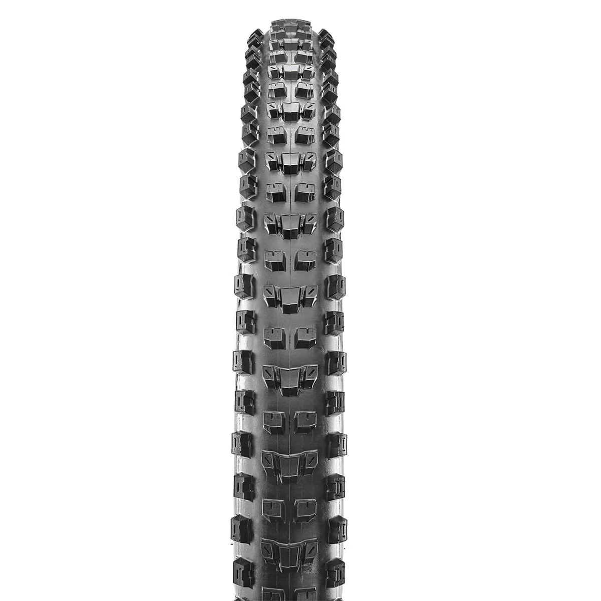 Pneu MAXXIS DISSECTOR 27.5x2.60 WT 2-Ply Butyl 3C MaxxTerra Exo+ Tubeless Ready Souple Noir - Image 2