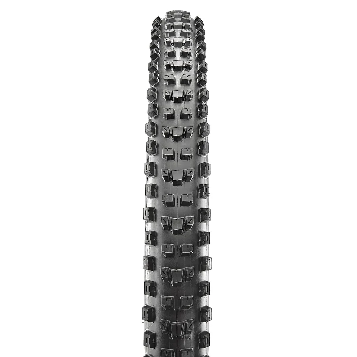 Pneu MAXXIS DISSECTOR 29x2.40 WT Double Down 3C MaxxTerra Tubeless Ready Souple Noir - Image 2