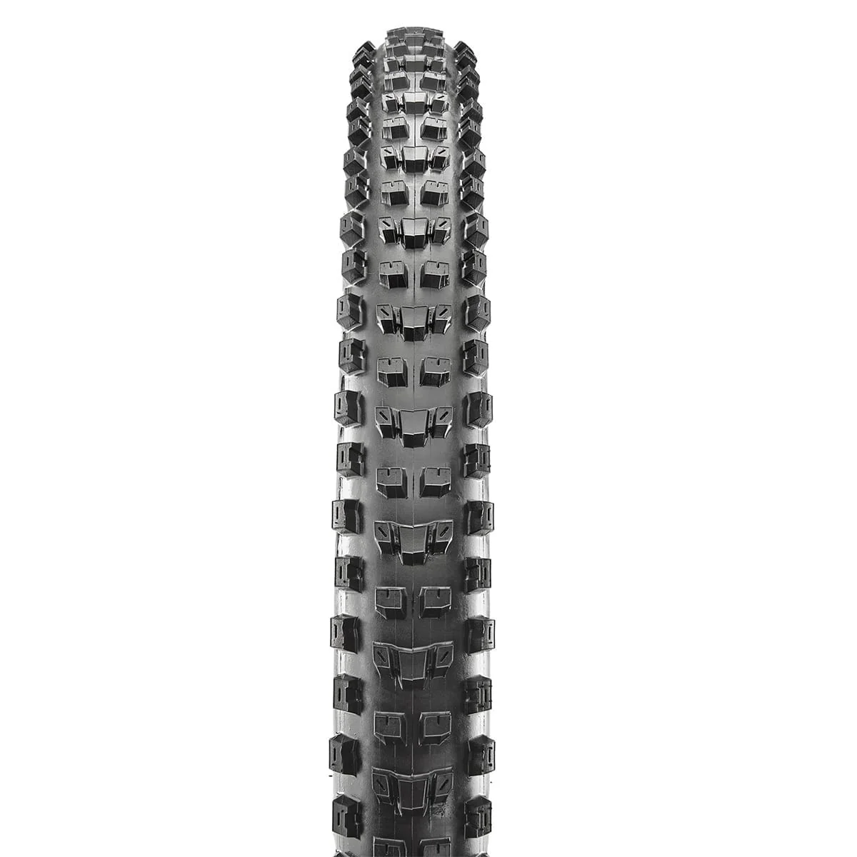 Pneu MAXXIS DISSECTOR 29x2.40 WT Exo Tubeless Ready Souple Noir - Image 2