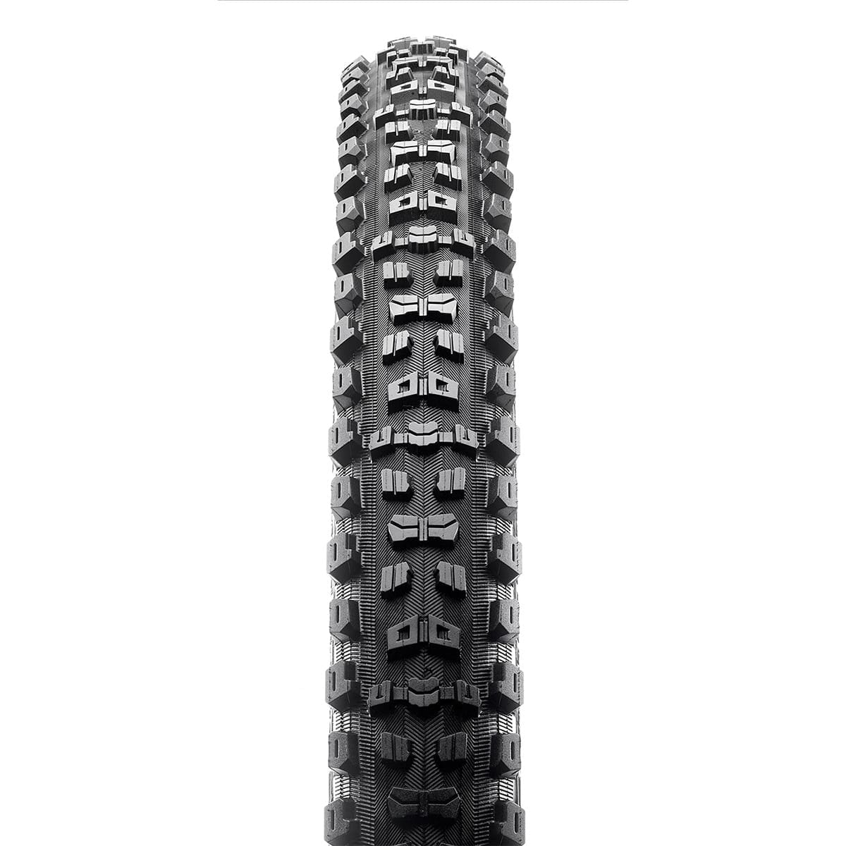 Pneu MAXXIS DISSECTOR 29x2.60 Exo 3C MaxxTerra Tubeless Ready Souple Noir - Image 2