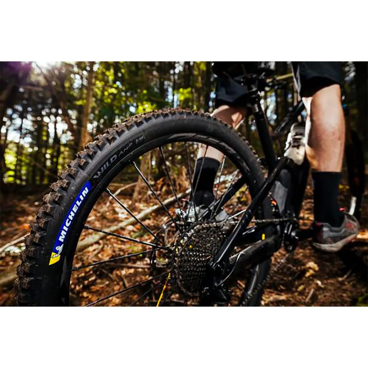 Pneu MICHELIN WILD AM2 Competition Line 29x2.40 Tubeless Ready Souple - Image 6