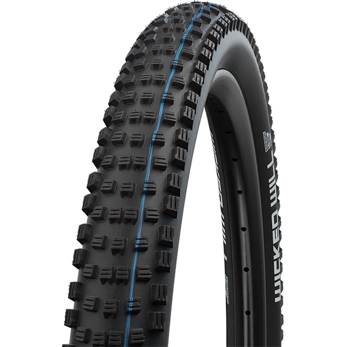 Pneu SCHWALBE WICKED WILL 29x2.40 ADDIX SPEEDGRIP SUPERTRAIL Tubeless Ready Souple Noir