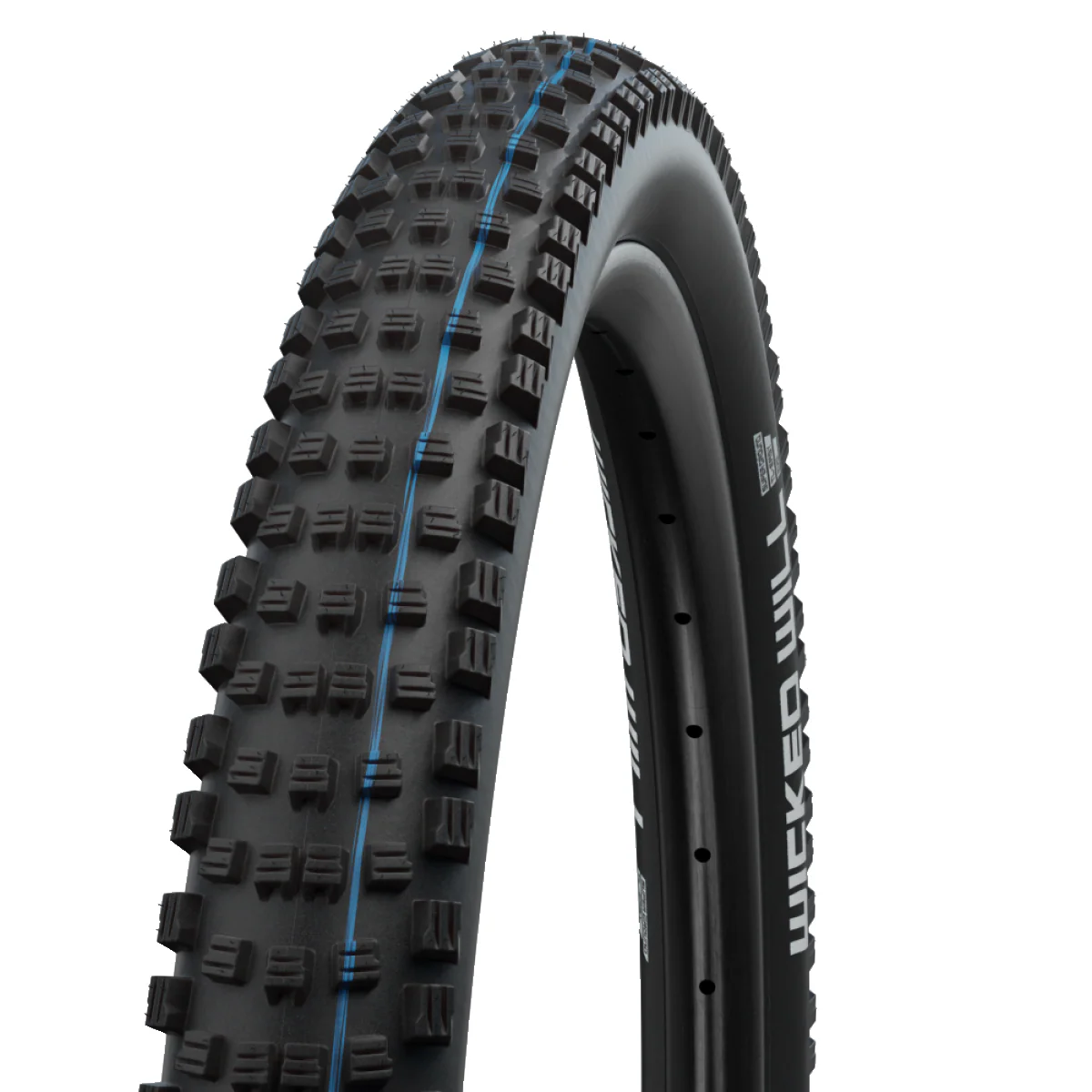 Pneu SCHWALBE WICKED WILL 29x2.60 ADDIX SPEEDGRIP SUPERGROUND Tubeless Ready Souple Noir