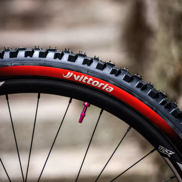 Pneu VITTORIA MAZZA ENDURO RACE 29x2.40 Graphene/Silica Tubeless Ready Souple Noir - Image 4