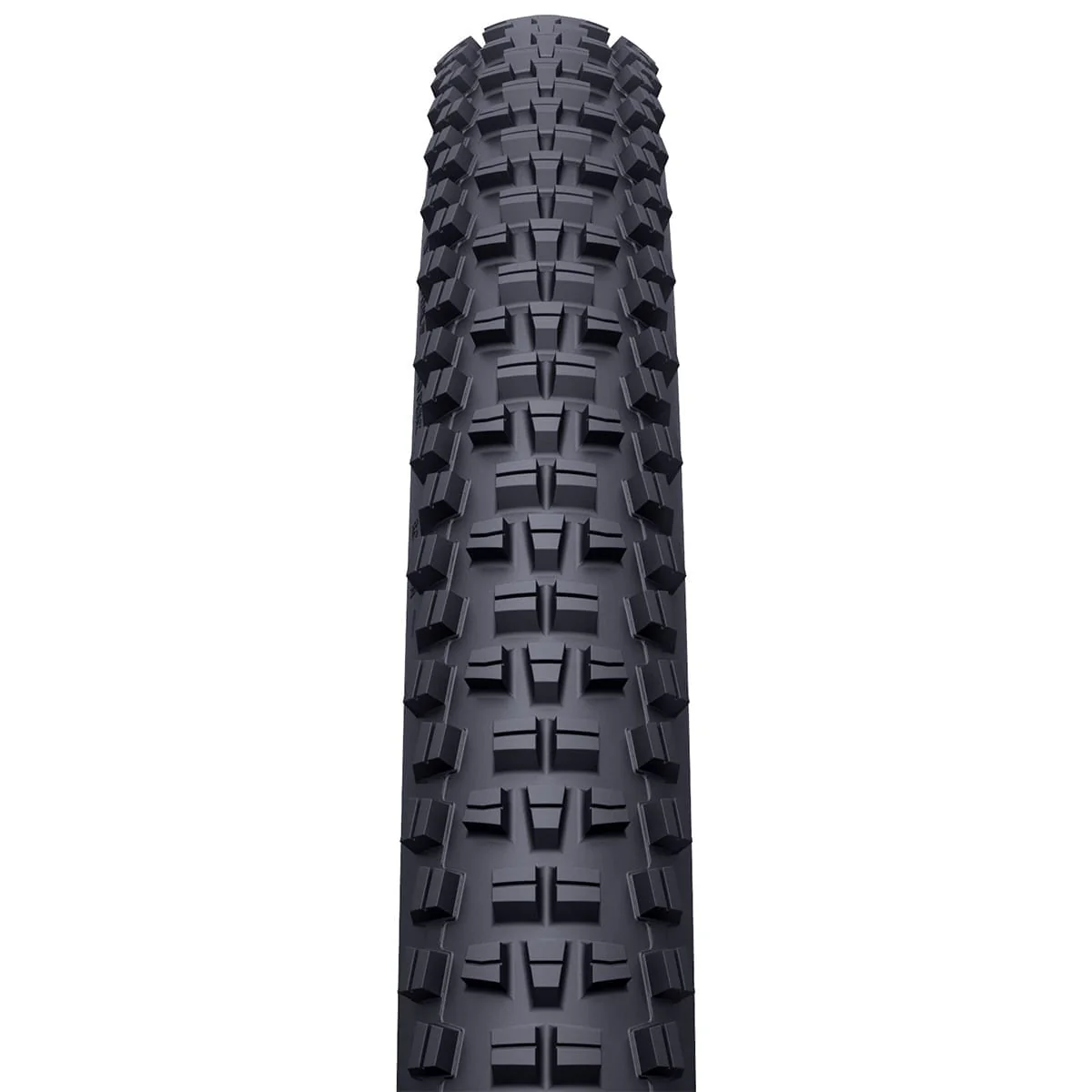 Pneu WTB TRAIL BOSS 29x2.25 TCS Light Tubeless Ready Souple W010-0887 - Image 2