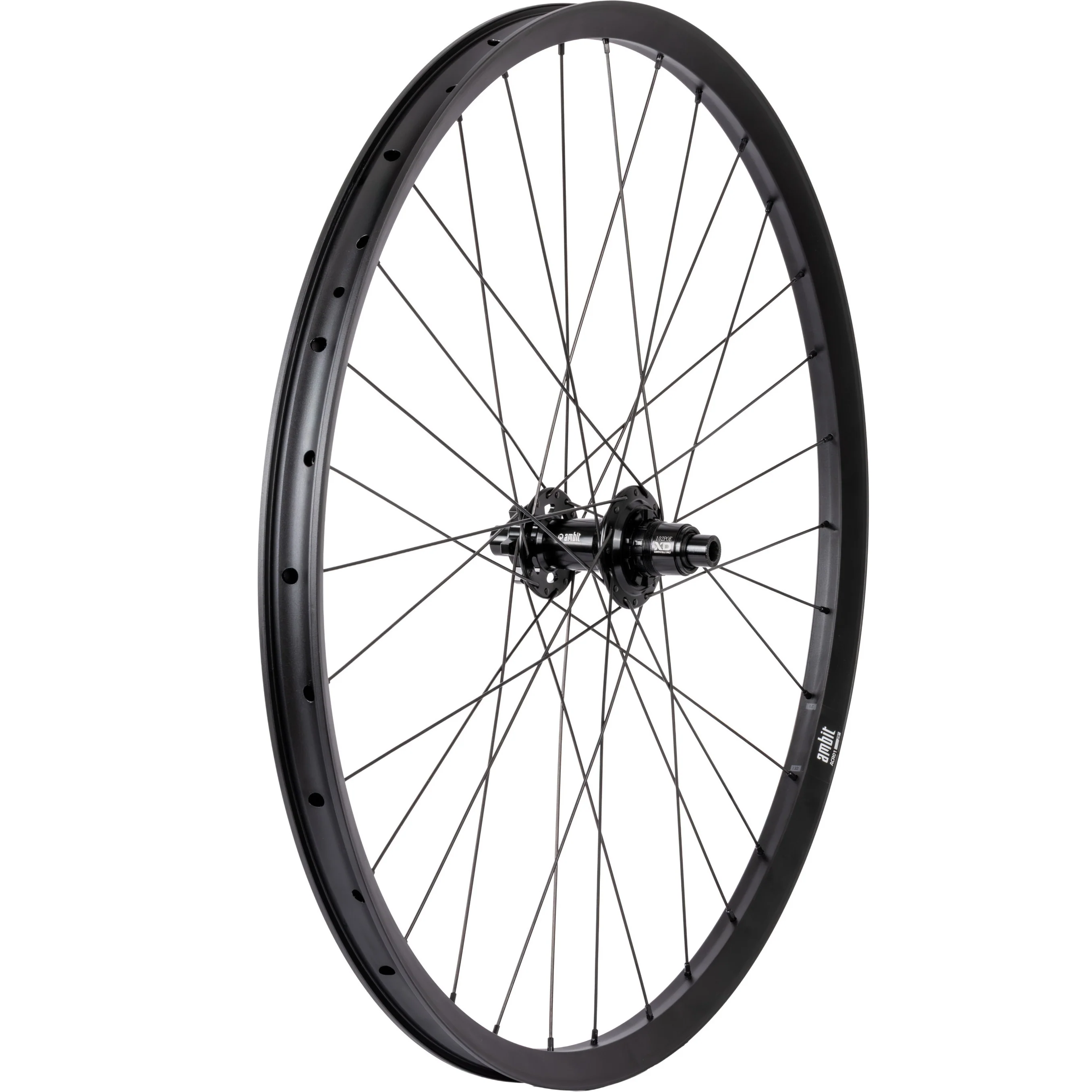 Roue Arrière AMBIT REALM 29" 12x148mm Boost POE 102