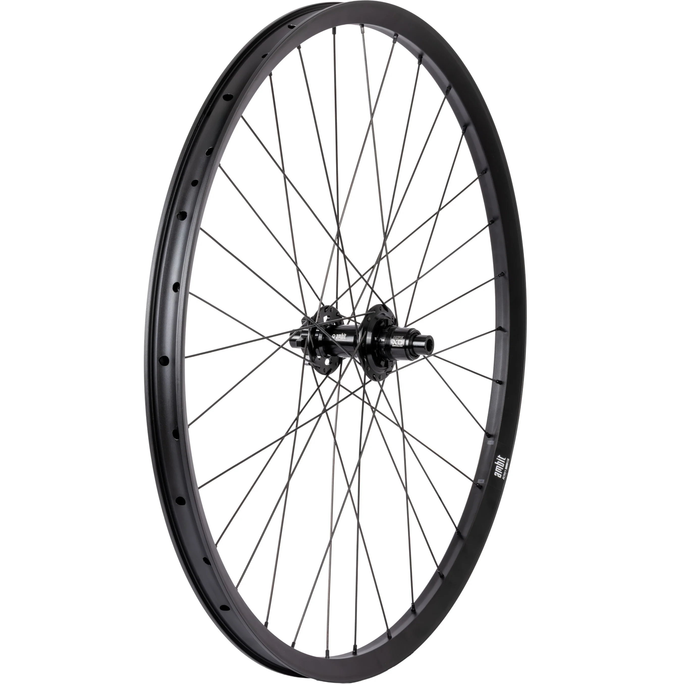 Roue Arrière AMBIT REALM 29" 12x148mm Boost POE 612