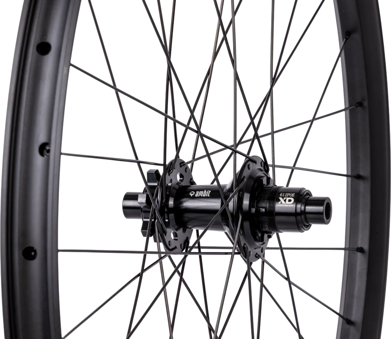 Roue Arrière AMBIT REALM 29" 12x148mm Boost POE 612 - Image 3