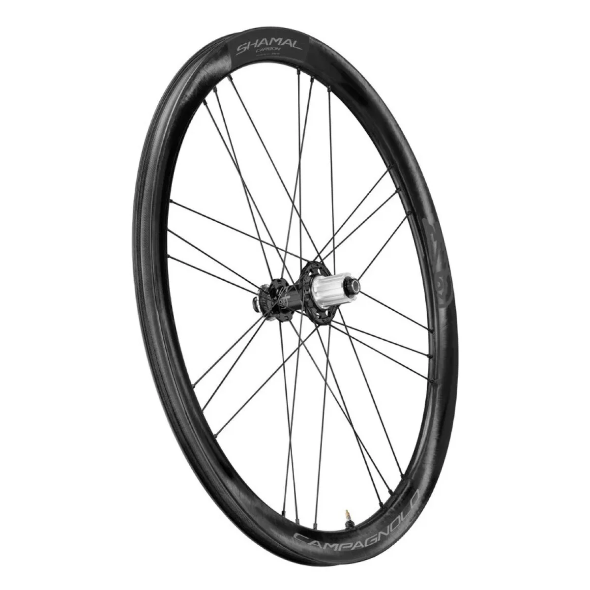 Roue arrière CAMPAGNOLO SHAMAL DISC Tubeless Ready (Center Lock) - Image 2