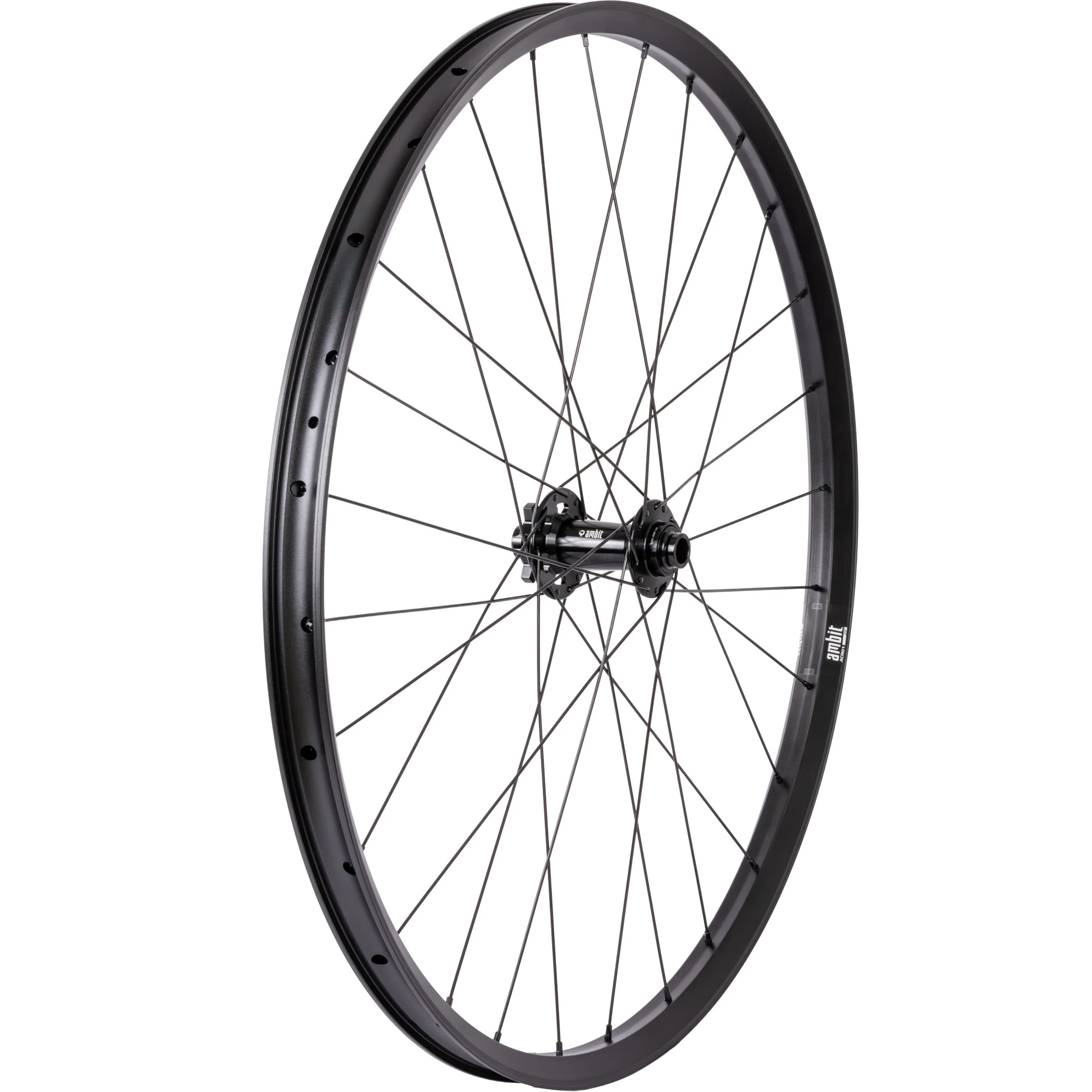 Roue Avant AMBIT REALM 29" 15*110mm Boost