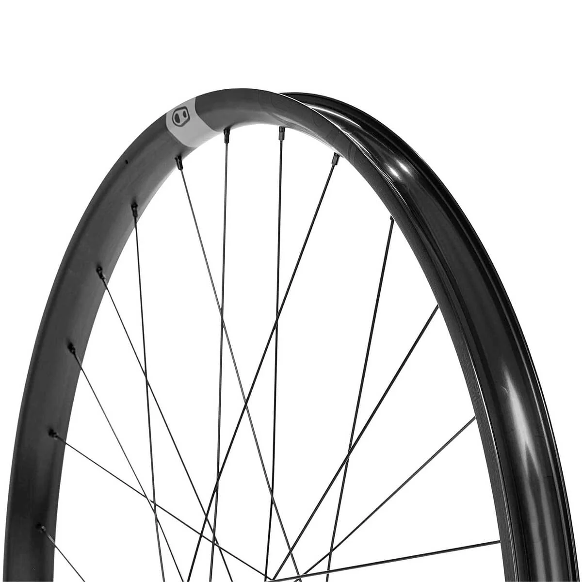 Roue Avant CRANKBROTHERS SYNTHESIS Enduro 29" 15x110 mm Boost - Image 2