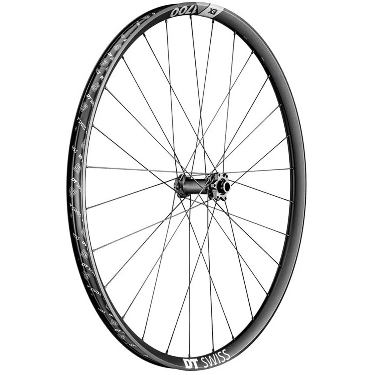 Roue Avant DT SWISS EX 1700 SPLINE 30 mm 29" 15x110 mm Boost - Image 2