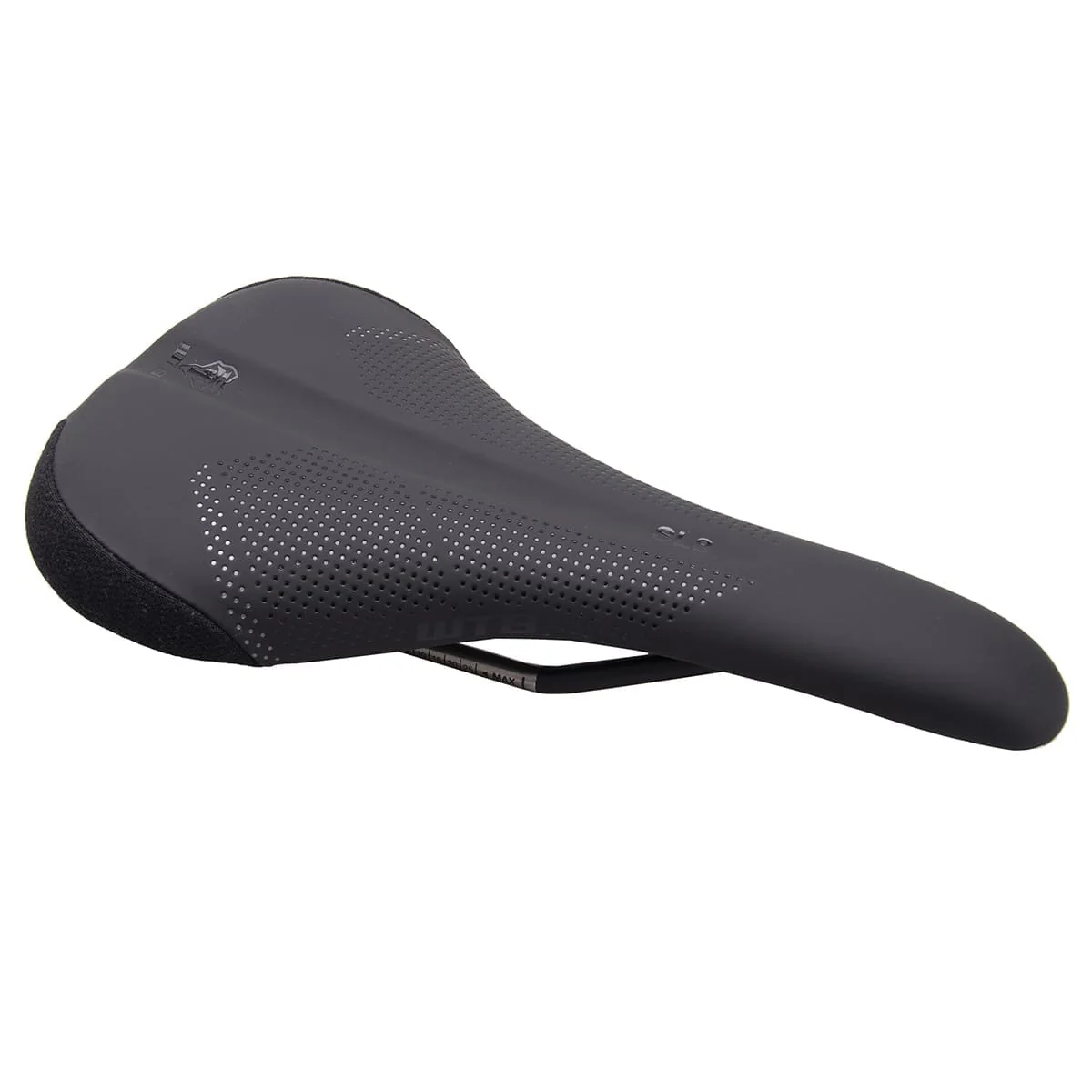 Selle WTB SL8 150mm Rails Titane Noir